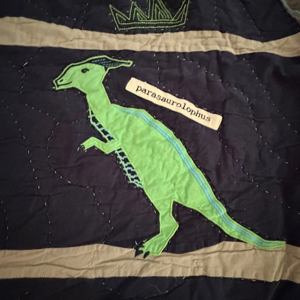 Pottery Barn Kids Dinosaur Quilt Set Full Queen Navy Blue T-Rex 3pc Bedding